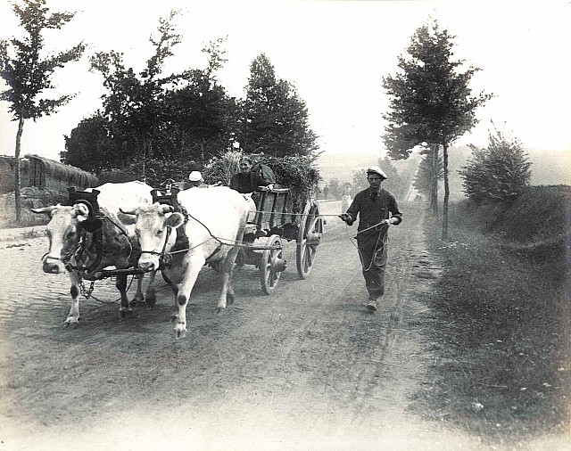 1914 Belgian scenes 53