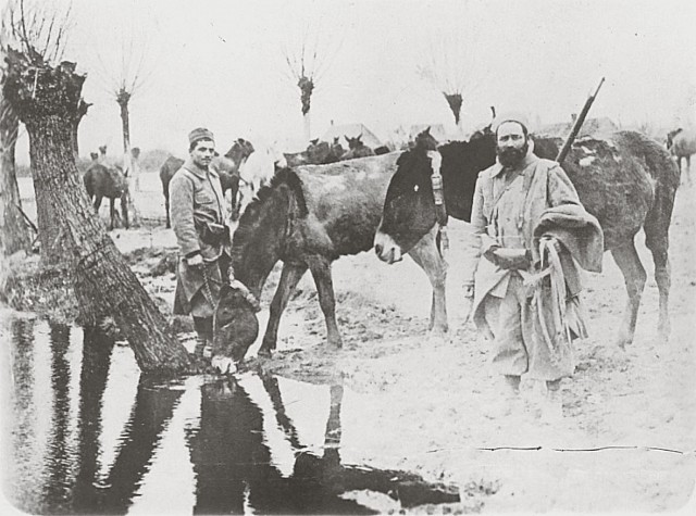 Kon Mus 201272302duo