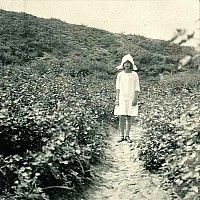 Elisabeth 1914-1918 III-154